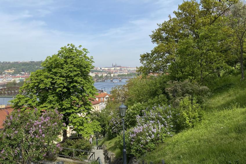 Soukenická - foto 42