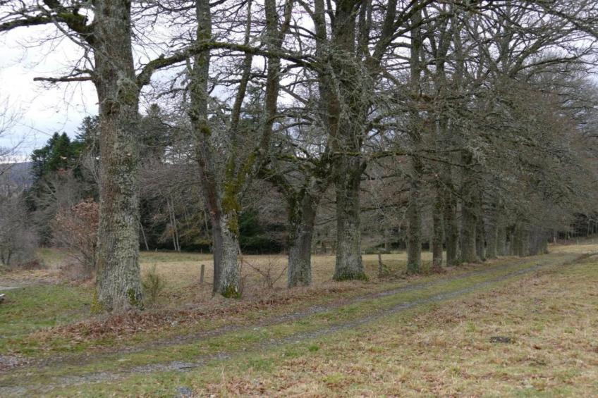 Gite Les Ayes - foto 33