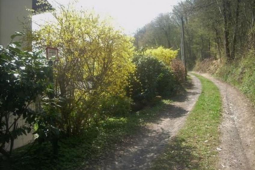 in Waldbreitbach mit Whirlpool - foto 19