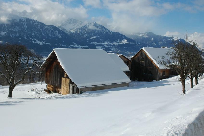 Dünser in Dünserberg - foto 7