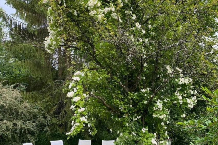 The Water Mill of Tourteron - foto 48