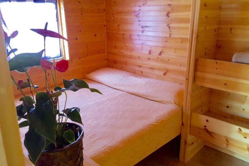 Holiday house on campsite in the pine forest - BF-NX2CW - foto 15