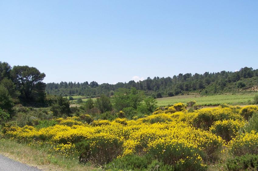 Studio Onida - foto 18