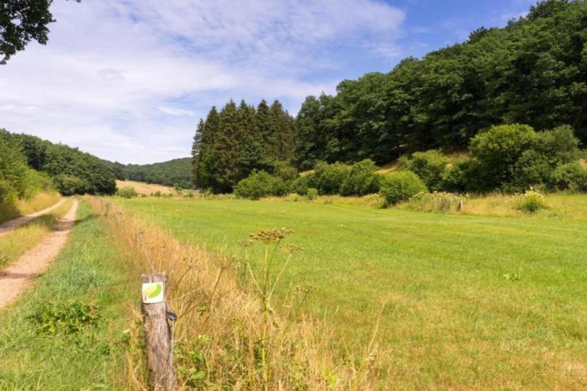 Bungalow Typ B 4P - Camping Park in der Eifel - foto 23