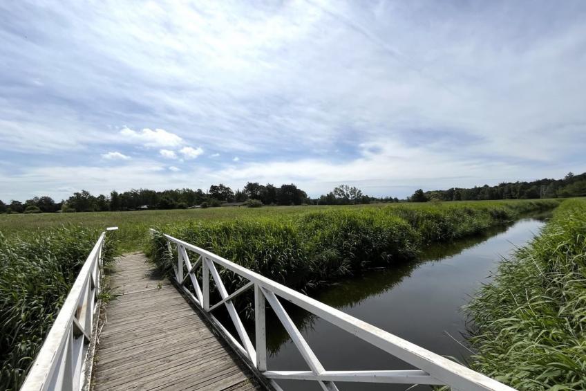 "Holmfridur" - 1.1km from the sea - foto 5