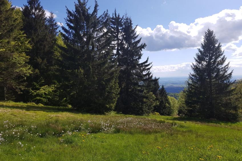 Charmante Wohnung in Langfurth mit Kleinem Balkon - foto 22