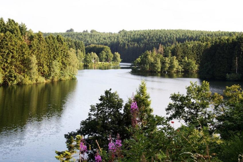 Le Chalet des Robinsons - foto 33