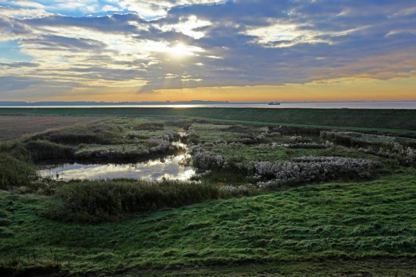 Water Resort Oosterschelde 85 - foto 16