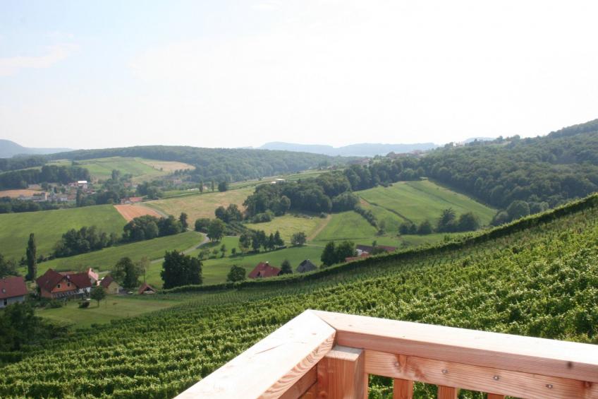 Rebenchalet - foto 21