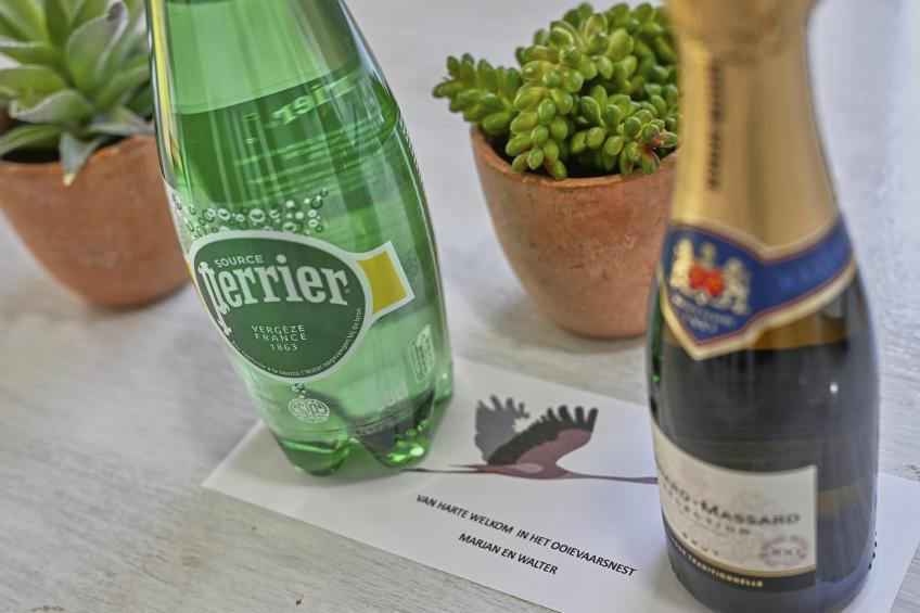 Ooievaarsnest - foto 19