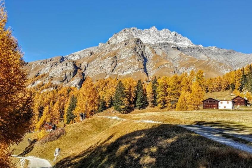 Pensiun Tung - foto 31