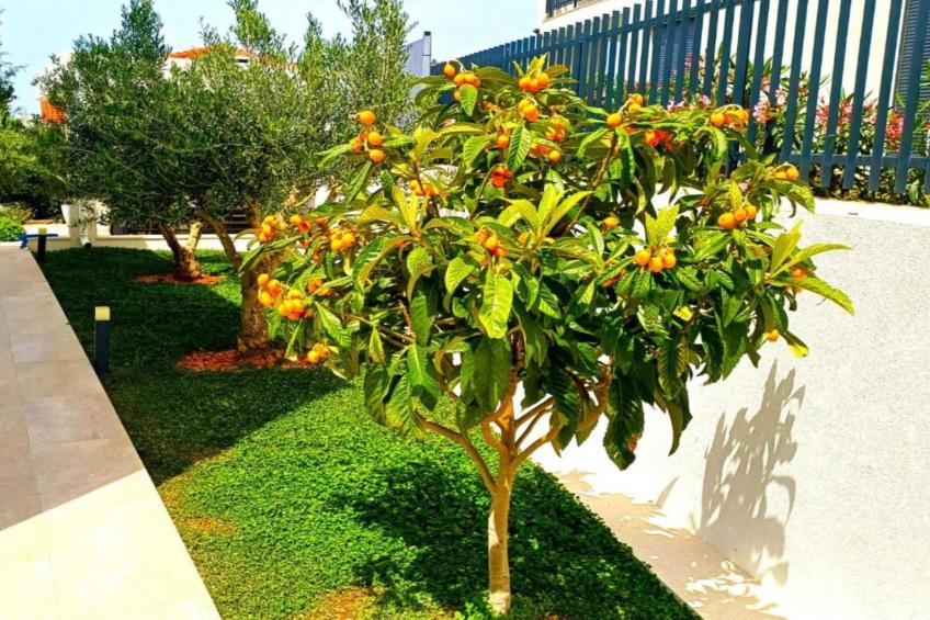 Villa Dolce Vita Sevid - foto 21