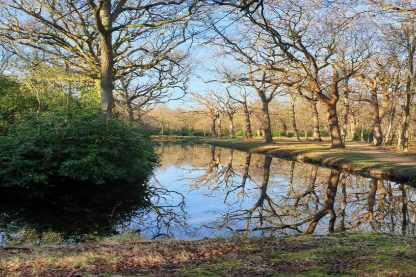De Zeeuwse Schuur - comfort 3 personen huisdier - foto 29