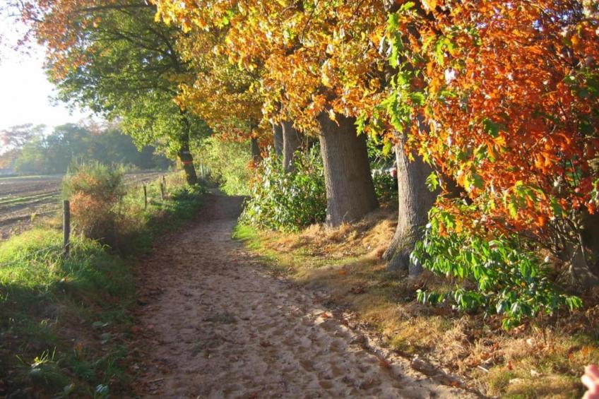 Vakantiepark De Lochemse Berg 2 - foto 33