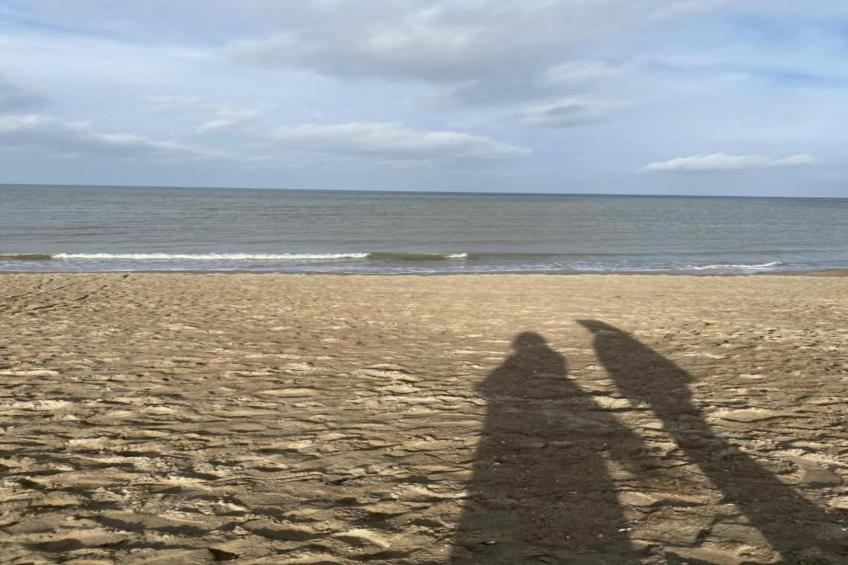 BRUYERES / 1 - foto 34