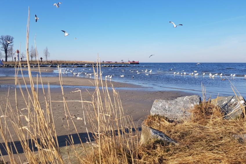 gemütlicher Bungalow - foto 31