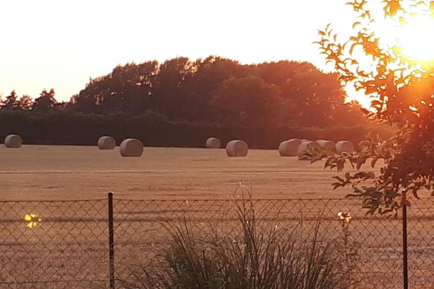 mit Grill und Garten in Neukirchen - foto 21