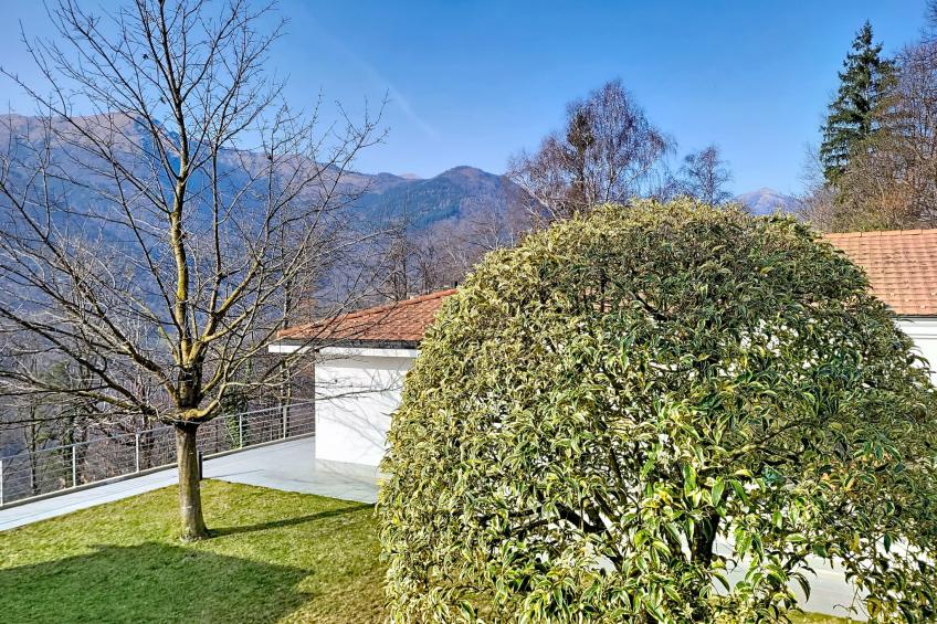 Lema View - foto 45