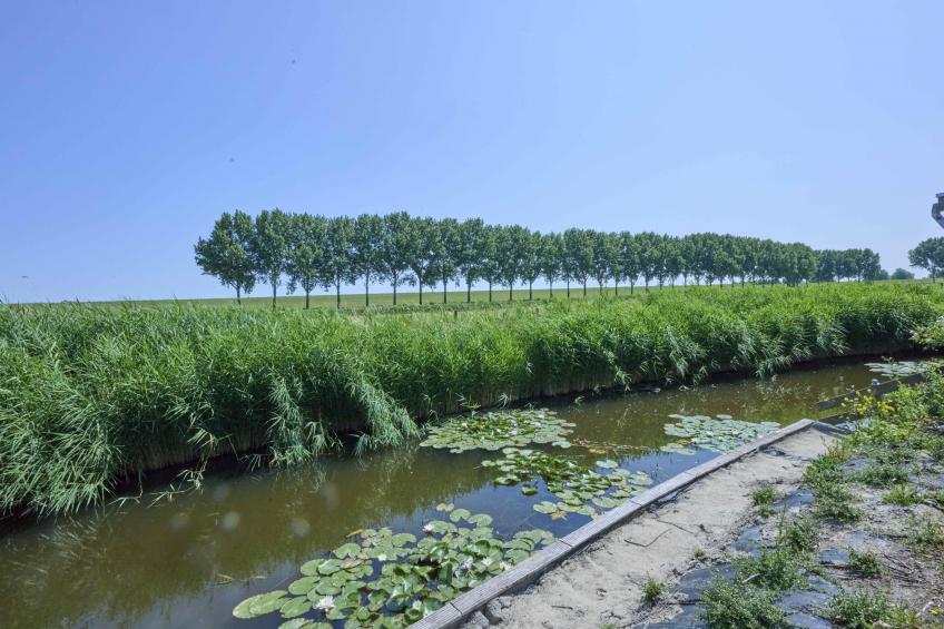 Poldergeluk - foto 4