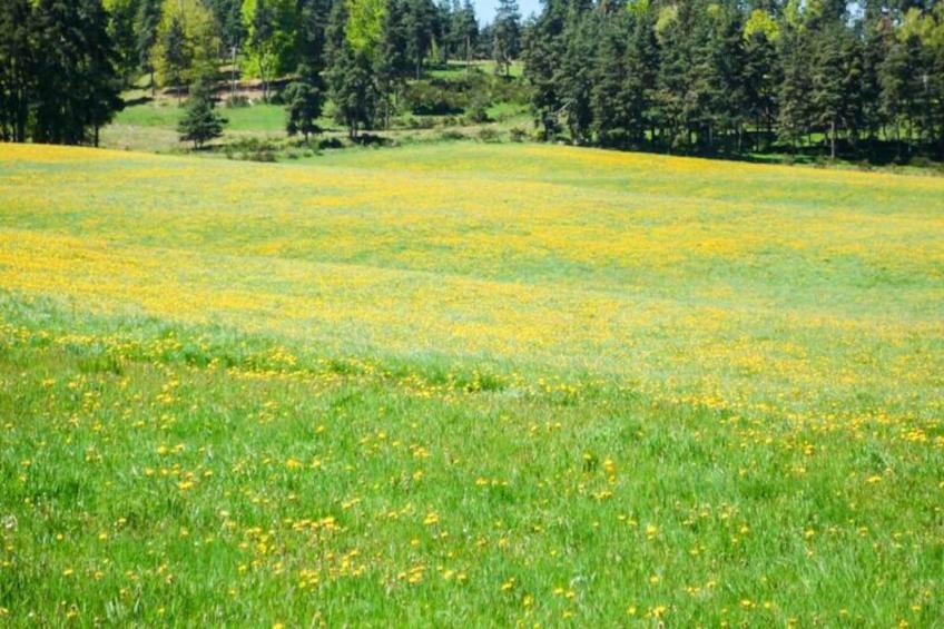 Gîte de France Gîte de lachamp 3 épis - foto 21