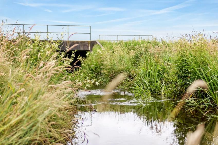 "Saran" - 30km from the sea - foto 9