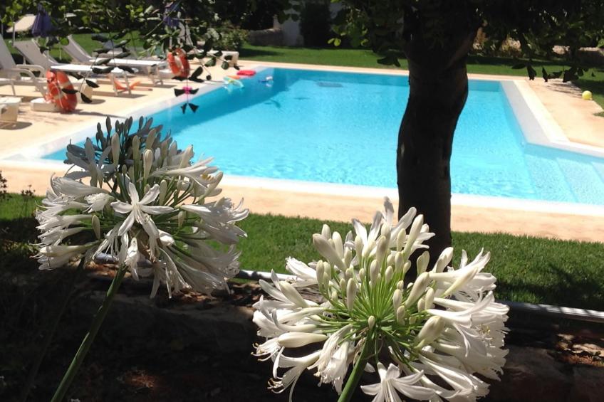 Appartement in Donnalucata mit Großem Garten - foto 8