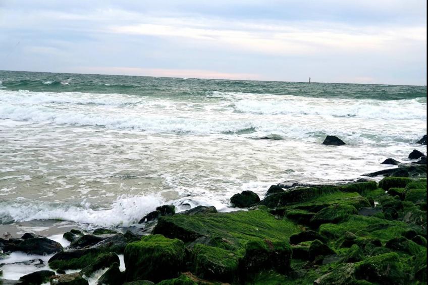 Appartementenhuis Andrea, Westerland - Type D - foto 16