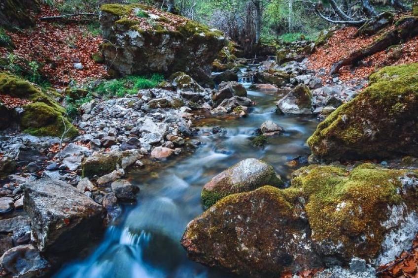 Rural House in the mountain of León - foto 27