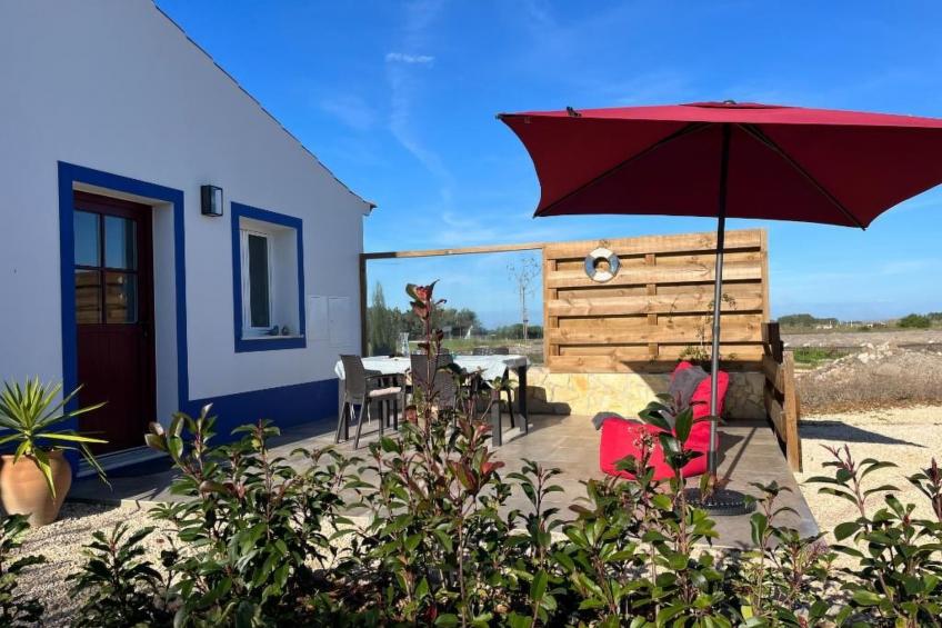 auf dem Lande in der Nähe des Strandes - foto 13