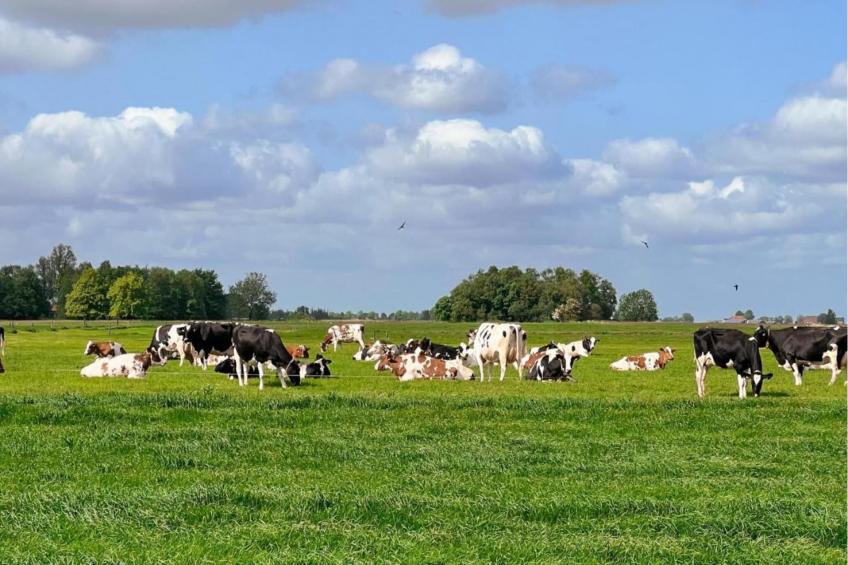 Friese Meren Villa's 16 - foto 32