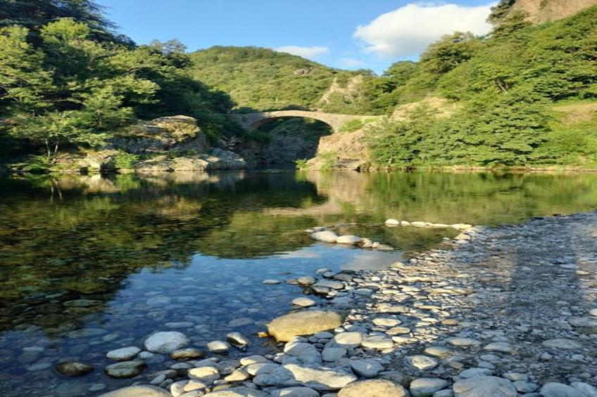 Brisecagnotte - foto 38