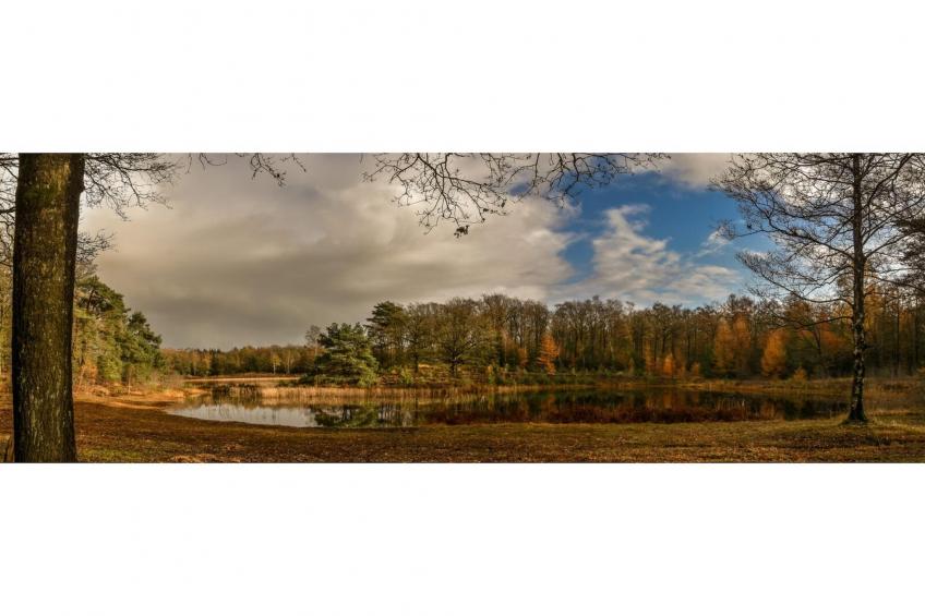 Cosy Lodge | 6 persoons - foto 27