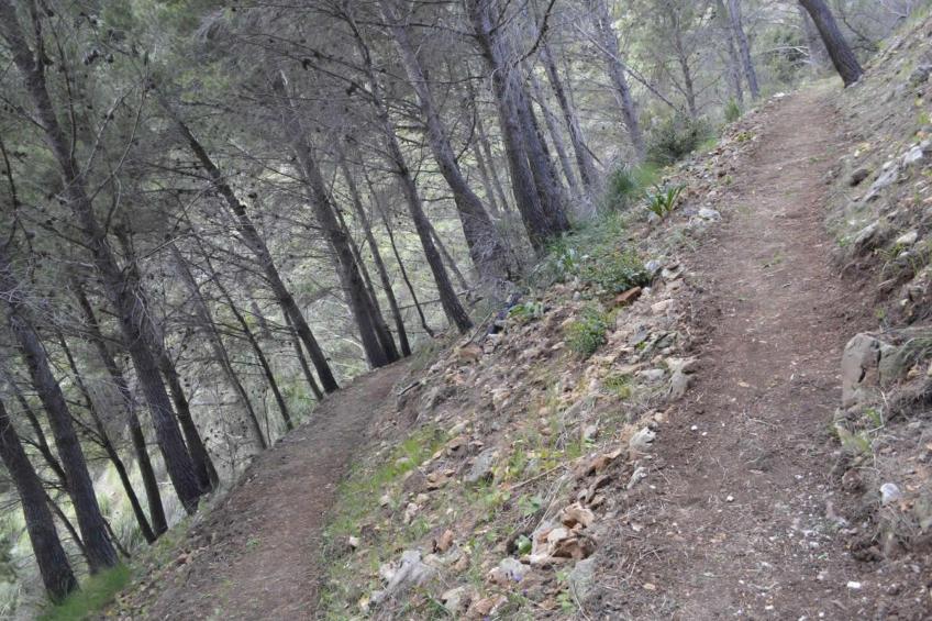 mit Garten, Grill und Terrasse - foto 23