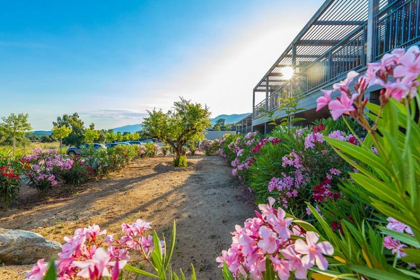 Appartement Standard Les Terrasses d'Arsella - foto 20