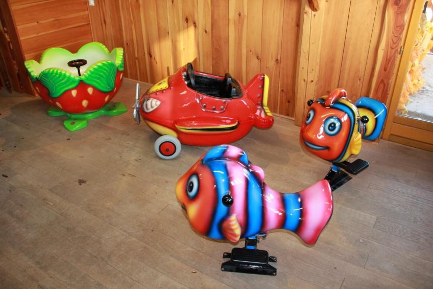 Les Chalets des Ayes - foto 21