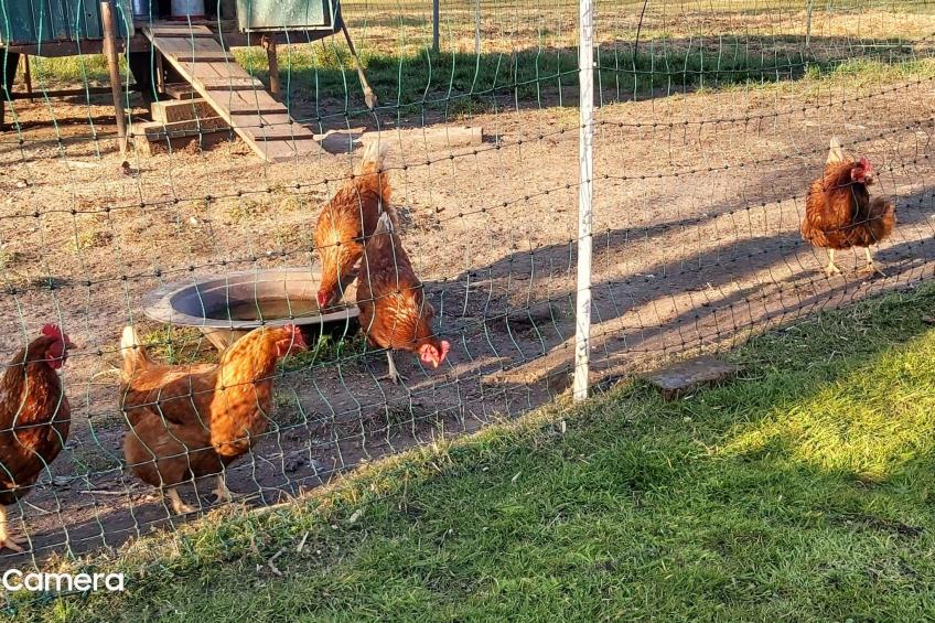 in Bohmstedt mit Großem Garten - foto 25