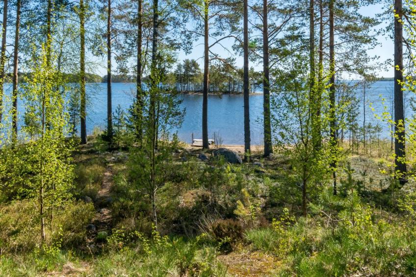 Villa pyöriäinen - foto 12