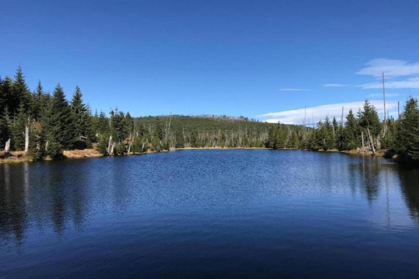 Holiday park Geyersberg Freyung-Appartement Typ A Basis - foto 32