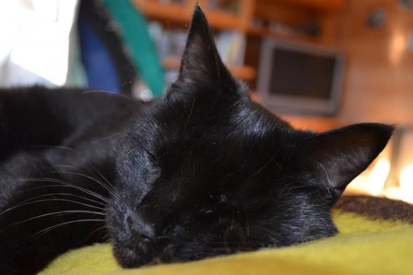 Biohof Furn - foto 24