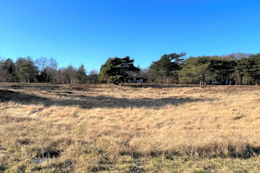 "Toska" - 100m to the inlet in Sealand - foto 14