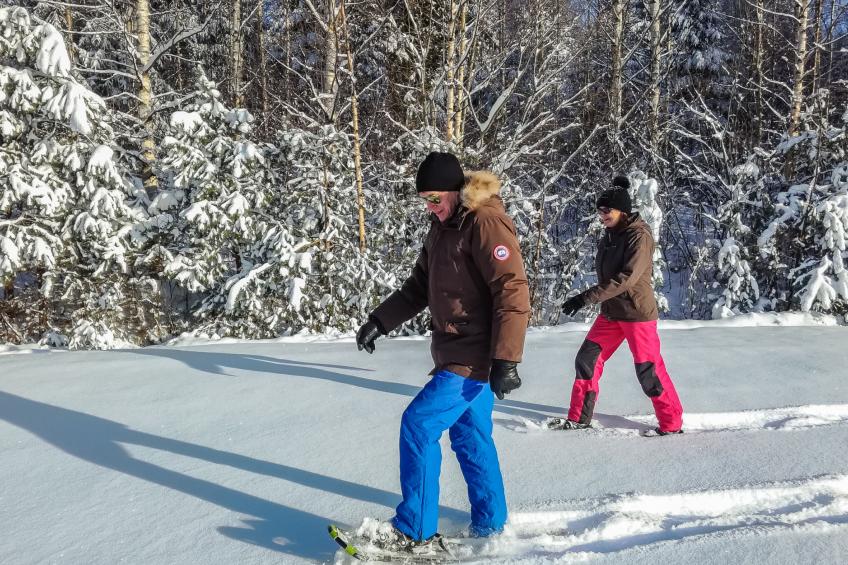Kalliokoivu - foto 18