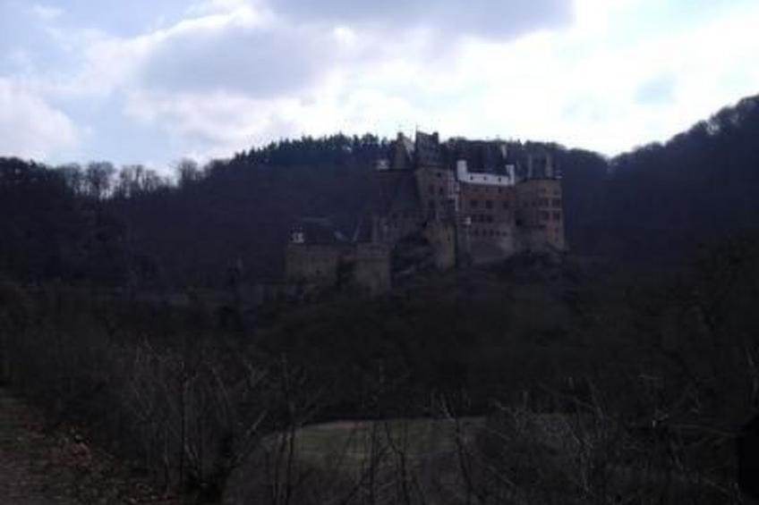 Am Waldrand - foto 45