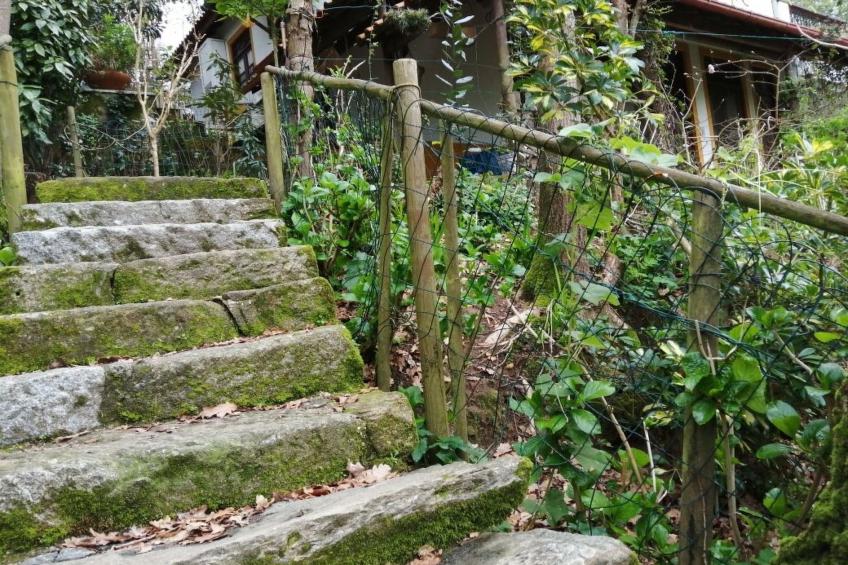 Maison du Moulin in Bauernhof - foto 41