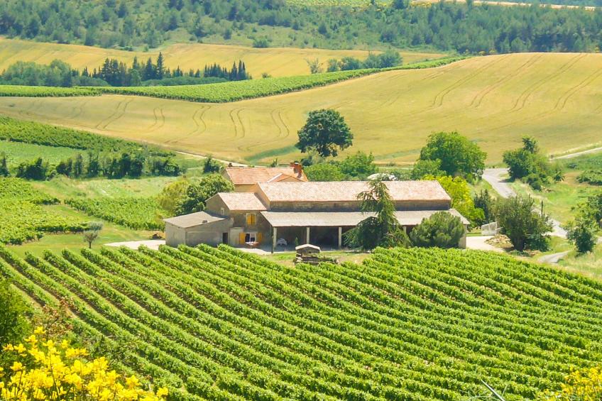 mit eigenem Pool - foto 21