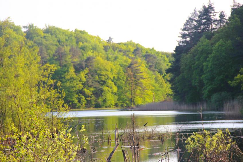 Logements de vacances, Kolczewo - Type A - foto 22