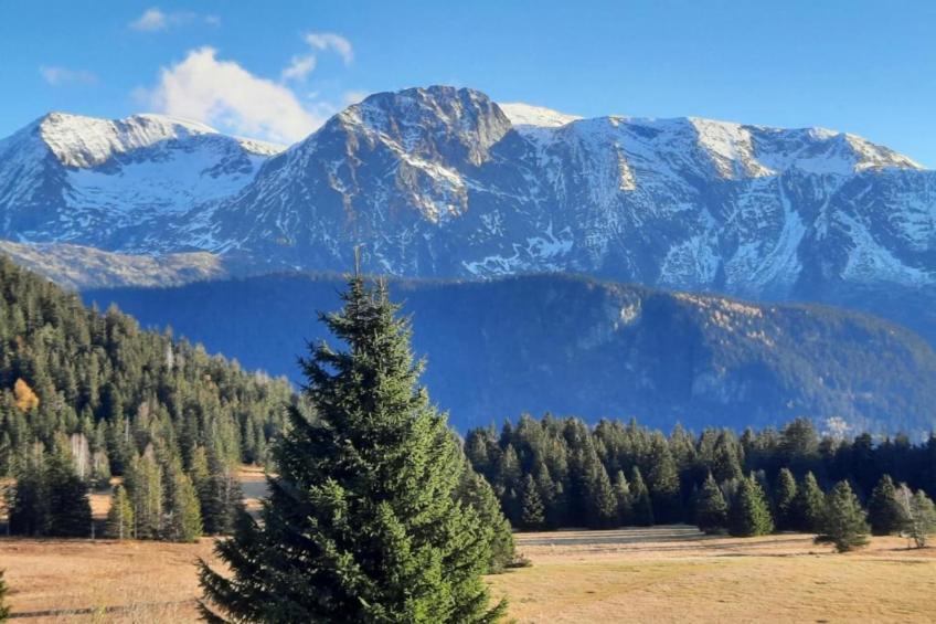 V. du Bachat Silenes B N°11 - 2P6 - foto 15