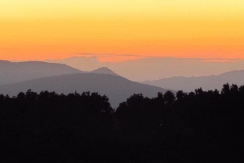 Max Mountain View - foto 7