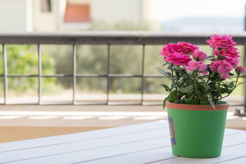 Gemütliche Ferienwohnung Prizemlje - foto 17