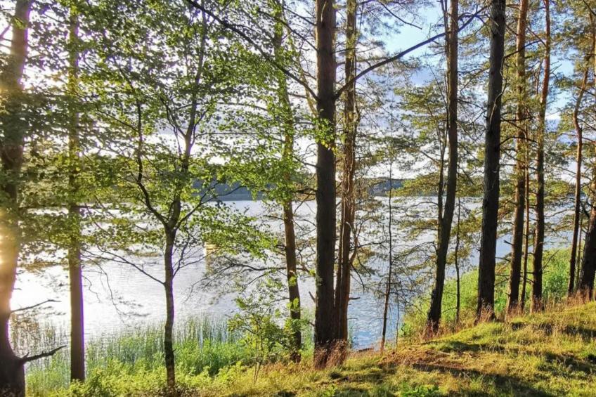 House in the kashubian village - foto 30