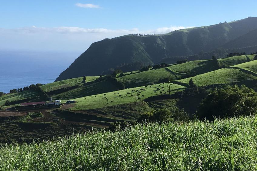 Casabelavista III - foto 18